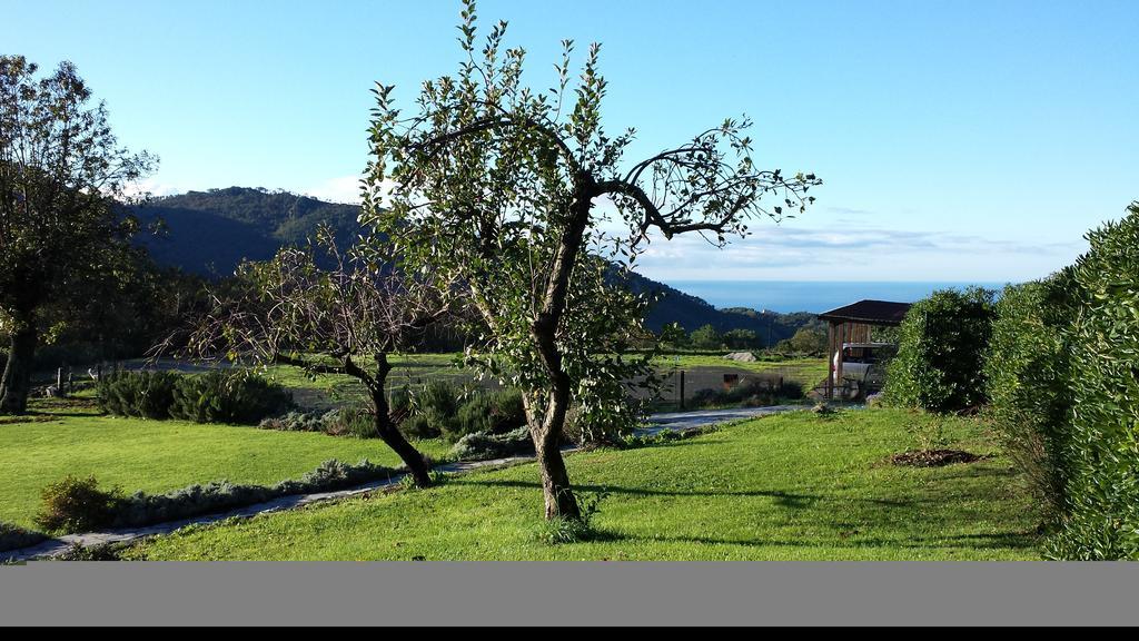 Sostio A Levante Framura Dış mekan fotoğraf