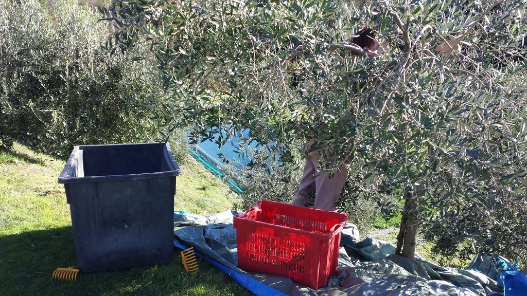 Sostio A Levante Framura Dış mekan fotoğraf